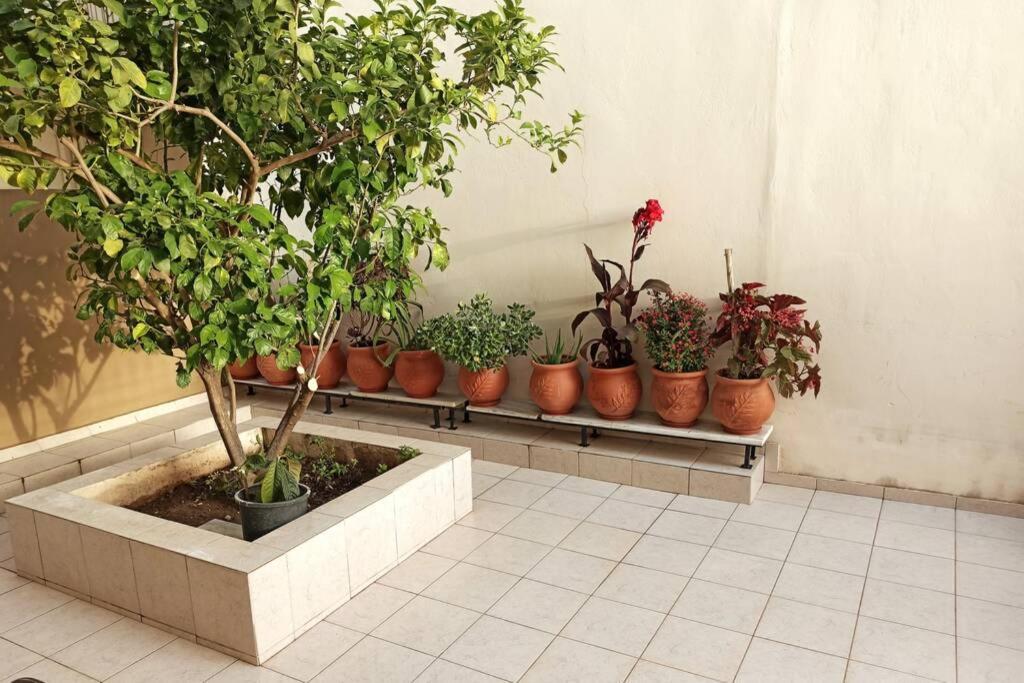 Jilda S Apartment With Private Garden! Nafplio Exteriér fotografie